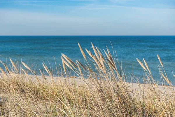 Mooie Rustige Blauwe Zee Met Golven Zandstrand Met Riet Droog — Stockfoto