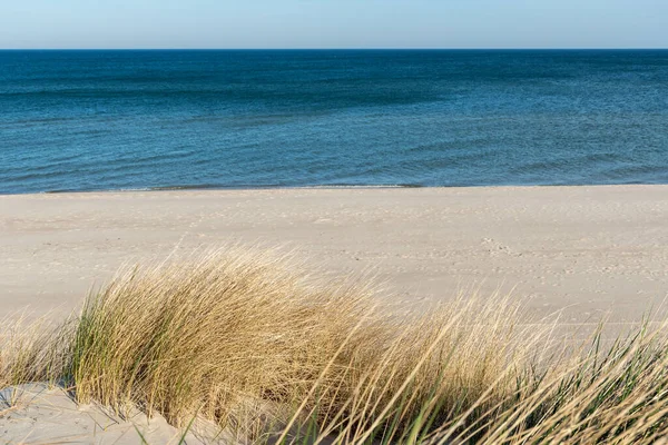 Mooie Rustige Blauwe Zee Met Golven Zandstrand Met Riet Droog — Stockfoto