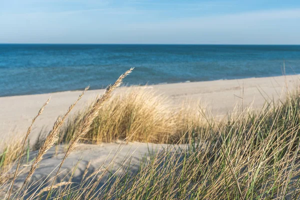 Mooie Rustige Blauwe Zee Met Golven Zandstrand Met Riet Droog — Stockfoto