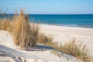 Dalgalı güzel mavi deniz ve kumlu kumlu kumlu kumlar ve kumullar arasında kuru çimenler, yaz ve tatil konseptinde seyahat, kumdaki ayak sesleri
