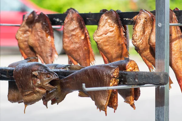 Vários Peixes Secos Fumados Com Especiarias Salmão Truta Prontos Para — Fotografia de Stock