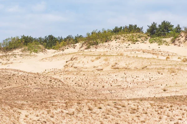 Nida, Klaipeda, Litvanya ve Avrupa 'daki kum tepelerinin panoramik görüntüsü. Curonian Tükürüğü ve Curonian Gölü. Baltık Denizi 'ndeki Baltık Kumulları. Unesco mirası