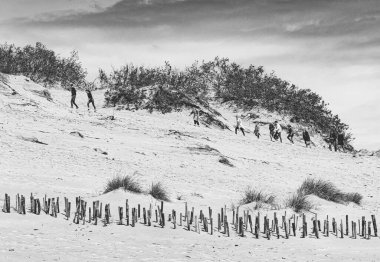 Nida, Klaipeda, Litvanya ve Avrupa 'daki kum tepelerinin panoramik görüntüsü. Curonian Tükürüğü ve Curonian Gölü. Baltık Denizi 'ndeki Baltık Kumulları. Turistlerin unesco mirası. BW