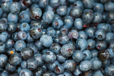 Taze organik olgun yabanmersini, yakından.
