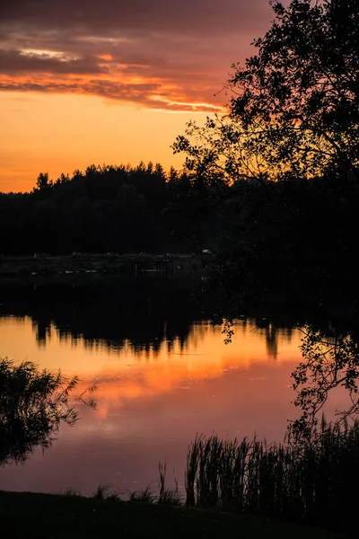 Beautiful Orange Yellow Sunset Reflected Water Silhouette Reeds Trees Forest — Stock Photo, Image