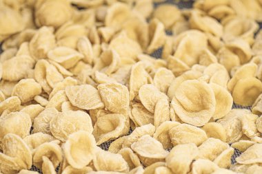 Güney İtalya 'nın bir bölgesi olan Puglia veya Apulia' nın tipik el yapımı makarnası, buğday ve suyla yapılan taze orekchiette veya orekchietta, yakın plan.