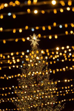 Vilnius, Litvanya, Avrupa 'daki festival şehir meydanında üzerinde yıldız bulunan parlak ışıklı bir Noel ağacı.