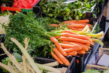 Yerel bir çiftçi pazarında sergilenen taze havuç ve çeşitli sebzeler.