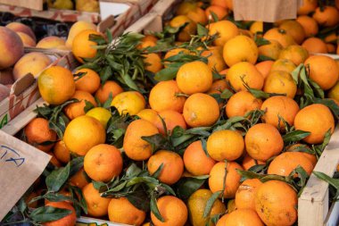 Meyve ve sebze pazarında satılık taze mandalinalar.
