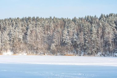 Donmuş bir göl boyunca karla kaplı bir orman berrak bir kış gökyüzü altında sakin ve minimalist bir doğal manzara yaratıyor.