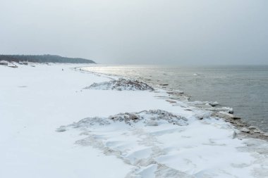 Donmuş dalgalarla dondurucu kış deniz manzarası, Litvanya 'nın Palanga kentindeki Baltık Denizi' nde karlı bir kıyı şeridi boyunca yüzen buzlar.