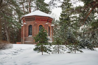 Litvanya 'nın Palanga kentindeki Birute Tepesi' ndeki Neo-Gotik şapel, taze karla kaplı, bir çam ağacı ormanında, sakin, atmosferik bir İskandinav manzarası yaratıyor.