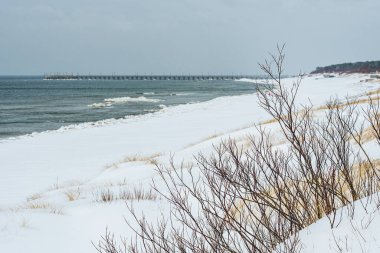 Kışın karla kaplı kıyı kum tepeleri ve kıyı otları, uzak bir rıhtımda sakin bir kış denizine karşı yükseliyor.