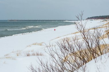 Kışın karla kaplı kıyı kum tepeleri, sakin bir kış denizine karşı yükselen kıyı otları, sahilde yürüyen az sayıda insan ve uzaktaki bir rıhtımla.