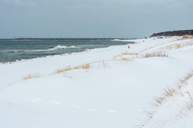 Kışın karla kaplı kıyı kum tepeleri, sakin bir kış denizine karşı yükselen kıyı otları, sahilde yürüyen az sayıda insan ve uzaktaki bir rıhtımla.