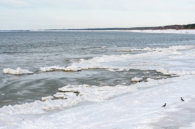 Donmuş dalgalarla dondurucu kış deniz manzarası, Litvanya 'nın Palanga kentindeki Baltık Denizi' nde karlı bir kıyı şeridi boyunca yüzen buzlar.