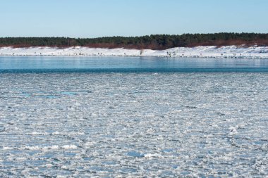 Durgun kış denizi solgun bir gökyüzünün altında yüzen buz kütleleriyle kaplı. Arka planda kar ve ormanla kaplı kum tepeleri var.