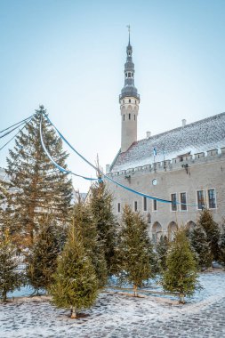 Tallinn Belediye Meydanı, Estonya 'nın başkenti, kışın kar ve Noel ağacı ile