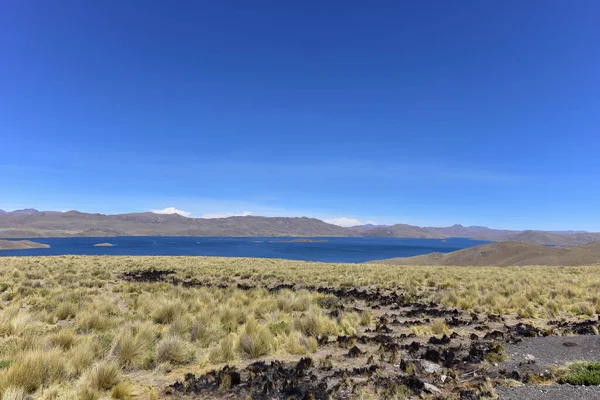 Mirador Lagunillas Puno 444 안데스와 접하고 알티플라노 — 스톡 사진