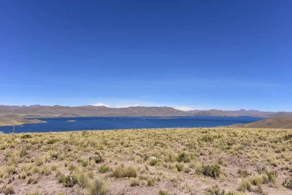 Mirador Lagunillas Puno 444 안데스와 접하고 알티플라노 — 스톡 사진