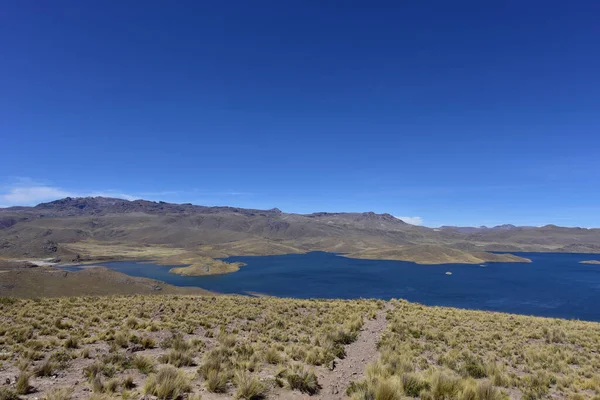 Mirador Lagunillas Puno Distrikt 444 Meter Höjd Altiplano Sjö Gränsar — Stockfoto