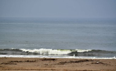 Pan-Amerikan Karayolu-Chala Bölgesi 'nden görülen Pasifik Okyanusu Dünya yüzeyinin yaklaşık% 33' ünü kaplayan dünyanın en büyük okyanusudur.