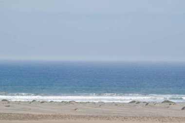 Pan-Amerikan Karayolu-Chala Bölgesi 'nden görülen Pasifik Okyanusu Dünya yüzeyinin yaklaşık% 33' ünü kaplayan dünyanın en büyük okyanusudur.