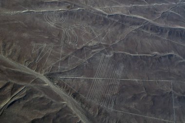 Nazca çizgisinin üzerindeki çarpıcı görüntüler bazen Nasca, Peru 'nun güney kıyısındaki Nazca kültüründen türetilen ve Nazca Çizgileri' nden sorumlu bir kasaba ve vadi sistemidir.
