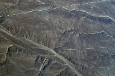 Nazca çizgisinin üzerindeki çarpıcı görüntüler bazen Nasca, Peru 'nun güney kıyısındaki Nazca kültüründen türetilen ve Nazca Çizgileri' nden sorumlu bir kasaba ve vadi sistemidir.