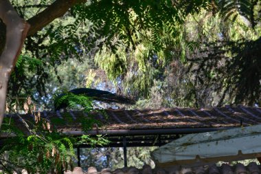 View Villa Santiago de La Nasca-tavuskuşu. Don Garca de La Nasca tarafından Vali Don Luis de Velasco döneminde (1596-1606) kurulmuştur.