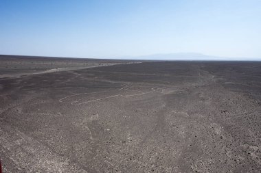 Nazca çizgisinin üzerindeki çarpıcı görüntüler bazen Nasca, Peru 'nun güney kıyısındaki Nazca kültüründen türetilen ve Nazca Çizgileri' nden sorumlu bir kasaba ve vadi sistemidir., 
