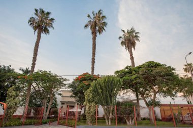 Nazca, Peru 'nun güney kıyısında yer alan bir şehir ve vadi sistemidir. Bu isim MÖ 100 yılları arasında gelişen Nazca kültüründen türetilmiştir. ve M.S. 800. Bu kültürün Nazca Çizgileri 'ni inşa ettiğine inanılıyor..