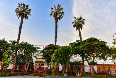 Nazca, Peru 'nun güney kıyısında yer alan bir şehir ve vadi sistemidir. Bu isim MÖ 100 yılları arasında gelişen Nazca kültüründen türetilmiştir. ve M.S. 800. Bu kültürün Nazca Çizgileri 'ni inşa ettiğine inanılıyor..