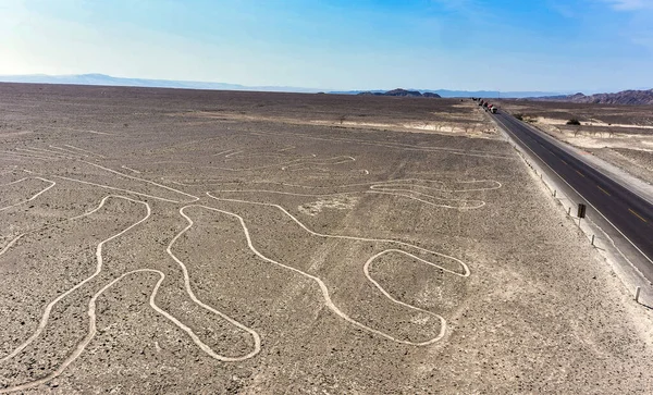 Nazca çizgisinin üzerindeki çarpıcı görüntüler bazen Nasca, Peru 'nun güney kıyısındaki Nazca kültüründen türetilen ve Nazca Çizgileri' nden sorumlu bir kasaba ve vadi sistemidir., 