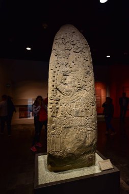 Ulusal Antropoloji Müzesi -Mexico City-çanak çömleği, heykeller, taş heykel - bir ulusal Meksika müzesidir. Müze, Aztek takvimi gibi Meksika öncesi dönemden kalma önemli arkeolojik ve antropolojik eserler içerir.