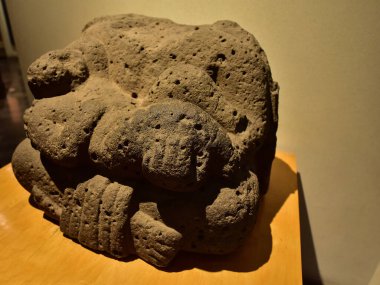 Ulusal Antropoloji Müzesi -Mexico City-çanak çömleği, heykeller, taş heykel - bir ulusal Meksika müzesidir. Müze, Aztek takvimi gibi Meksika öncesi dönemden kalma önemli arkeolojik ve antropolojik eserler içerir.