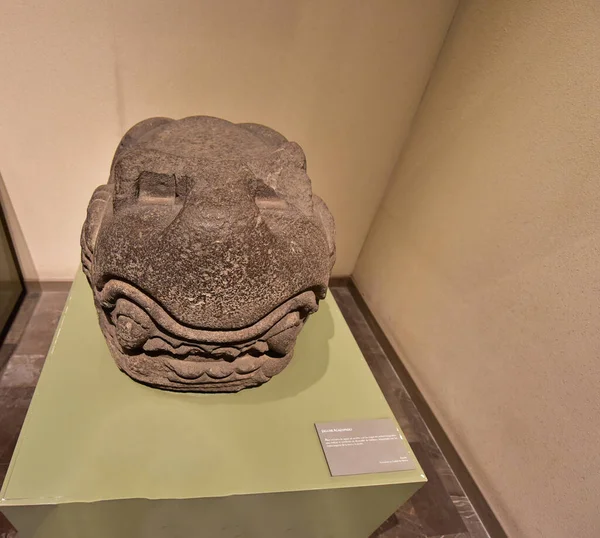 National Museum Anthropology Mexico City Pottery Statues Stone Sculpture National — 스톡 사진