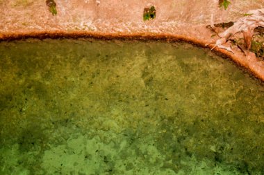 Xcaret - Riviera Maya -cenote, Meksika 'nın Quintana Roo. eyaletinden Karayipler kıyısında yer alan Riviera Maya' da yer alan bir eğlence parkı, bir tatil köyü ve eko-turizm gelişimi.