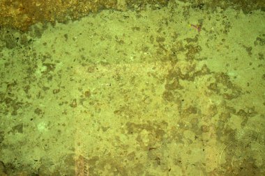 Xcaret - Riviera Maya -cenote, Meksika 'nın Quintana Roo. eyaletinden Karayipler kıyısında yer alan Riviera Maya' da yer alan bir eğlence parkı, bir tatil köyü ve eko-turizm gelişimi.