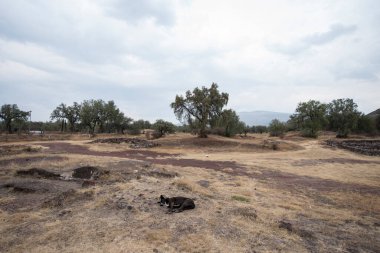 Teotihuacan Arkeolojik Kompleksi 5 ana elementten oluşur: Güneş Piramidi, Ölüler Bulvarı, Ay Piramidi, Tüylü Yılan Piramidi ve Hisar.