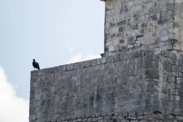 Complejo Arqueológico Uxmal Los Restos Mayas Mejor Conservados Península Yucatán — Foto de Stock