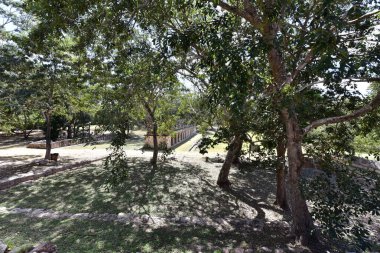 Yucatan Yarımadası 'nın Maya arkeolojik alanının girişinden Uxmal Arkeolojik Kompleksi görünümü: Lider' in Sarayı, Sihirbazın Piramidi, İdari Saray, spor müsabakaları, Kuş Evi, Kaplumbağa Evi; Büyük Piramit;.