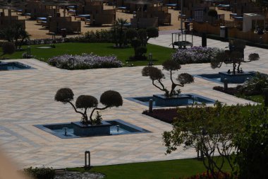 Süslü ağaçlar ve çalılar-Hurghada-Mısır. Parlak renklerde çeşitli şekillerde, havuz kenarındaki yeşil desenli yapraklar ve doğu tarzı binalar. 