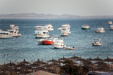 Kızıl Deniz 'deki yatlar ve gemiler kırmızı siyanobakteriyel trikodesmiyum eritrayumun mevsimsel patlamalarından geliyor, yakınlardaki dağlardan, kırmızı mineraller bakımından zengin ya da Himariitlerden, adı kırmızı anlamına gelen bir kabileden.