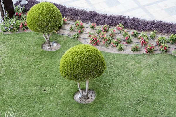 Vue Avec Des Fleurs Des Arbres Des Arbustes Ornementaux Différentes — Photo