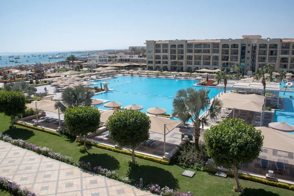 Süslü ağaçlar ve çalılar-Hurghada-Mısır. Parlak renklerde çeşitli şekillerde, havuz kenarındaki yeşil desenli yapraklar ve doğu tarzı binalar. 