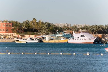 Kızıl Deniz 'deki yatlar ve gemiler kırmızı siyanobakteriyel trikodesmiyum eritrayumun mevsimsel patlamalarından geliyor, yakınlardaki dağlardan, kırmızı mineraller bakımından zengin ya da Himariitlerden, adı kırmızı anlamına gelen bir kabileden.