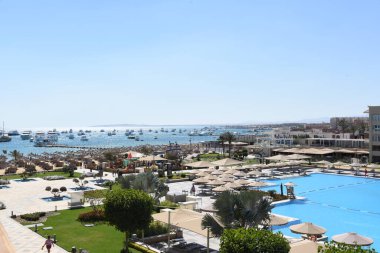Süslü çalılar-Hurghada-Mısır çeşitli şekillerde parlak renklerde, havuz kenarındaki yeşil desenli yapraklar ve doğu tarzı binalar 