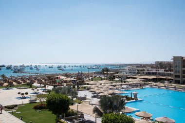 Süslü çalılar-Hurghada-Mısır çeşitli şekillerde parlak renklerde, havuz kenarındaki yeşil desenli yapraklar ve doğu tarzı binalar 