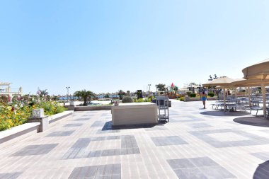 Süslü çalılar-Hurghada-Mısır çeşitli şekillerde parlak renklerde, havuz kenarındaki yeşil desenli yapraklar ve doğu tarzı binalar 